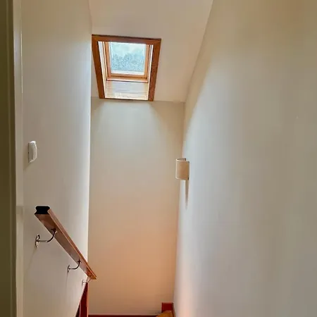 Penzion Casa Dos Avos - Garden & Ii Sete Cidades